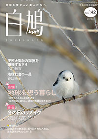 白鳩 表紙