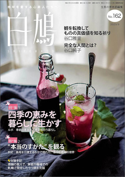 白鳩 表紙