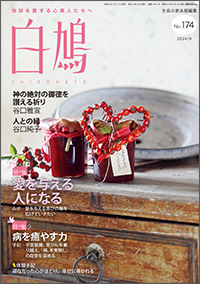 白鳩 表紙